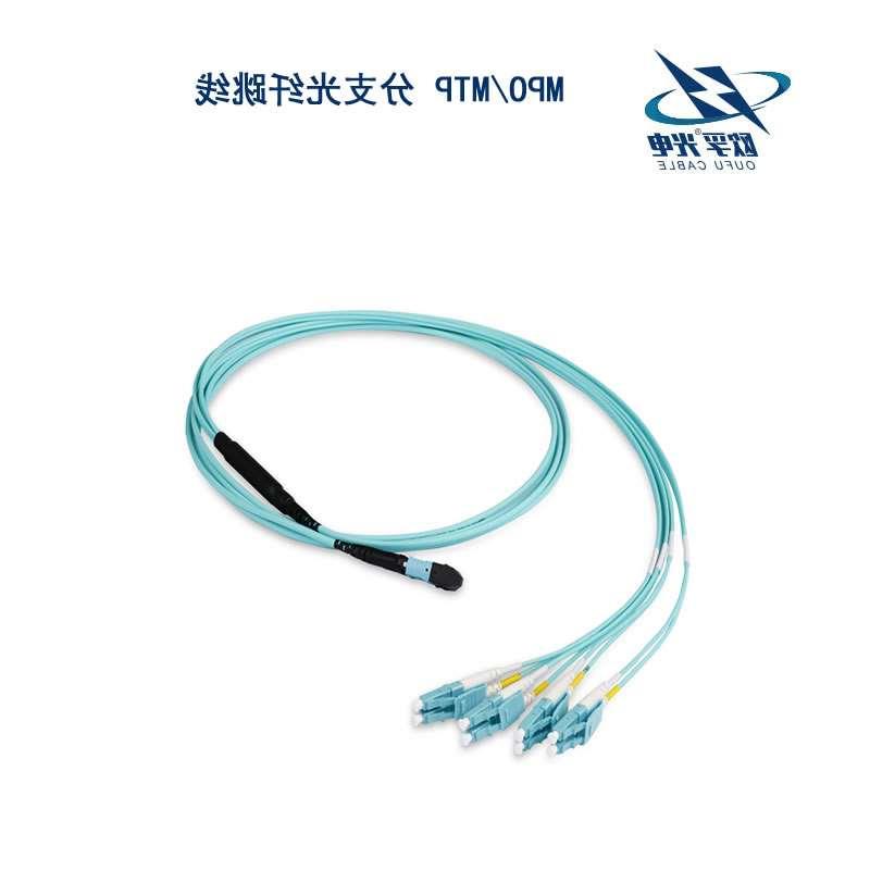阿坝藏族羌族自治州MPO/MTP 分支光纤跳线