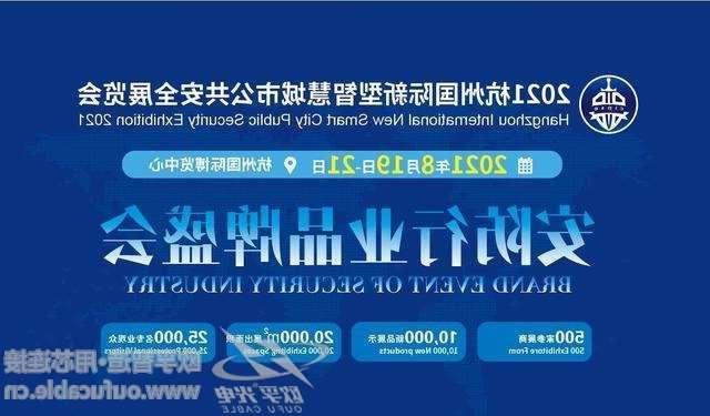 安阳市2021杭州国际新型智慧城市公共安全展览会（安博会）CIPSE