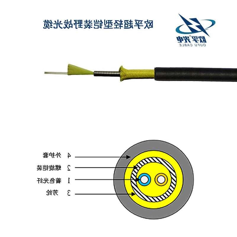 阿坝藏族羌族自治州超轻型铠装野战光缆