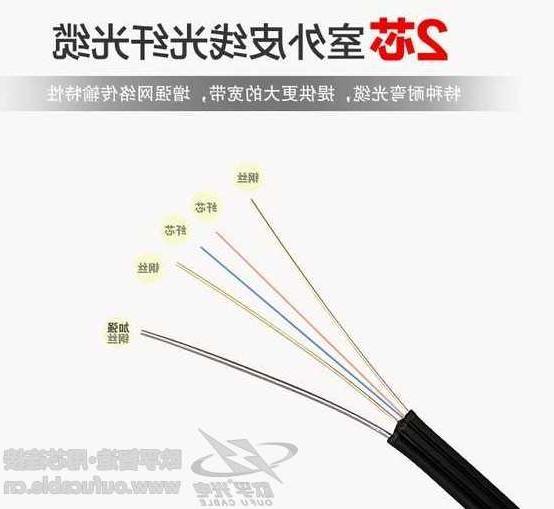 蚌埠市欧孚光缆厂家 双芯皮线光缆是什么结构的
