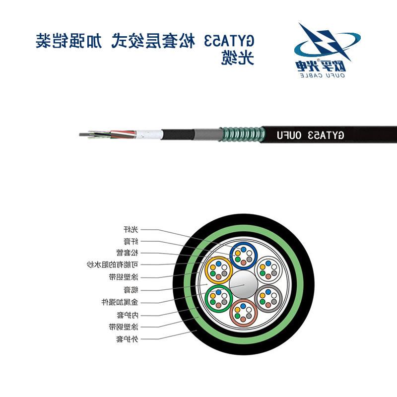 安徽GYTA53光缆